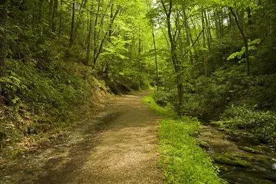 schoolhouse gap trail