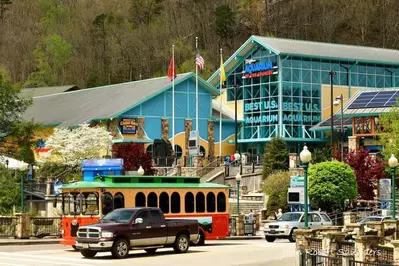 Ripley's Aquarium of the Smokies in Gatlinburg 