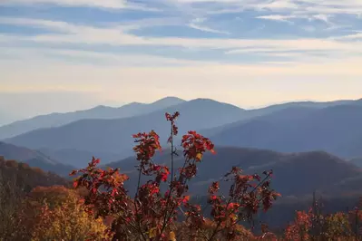 fall colors in smokies