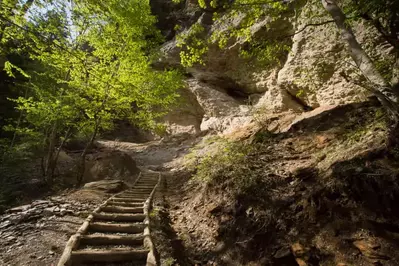 approaching alum cave