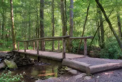 cataract bridge