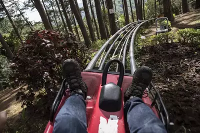 mountain coaster in gatlinburg