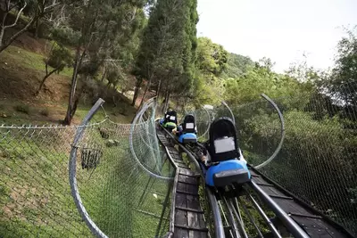 mountain coaster in gatlinburg