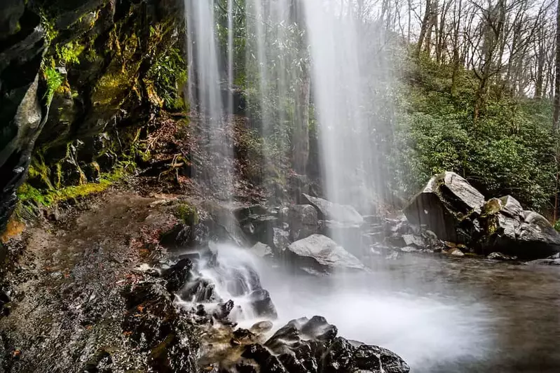 grotto falls hike in the smoky mountains