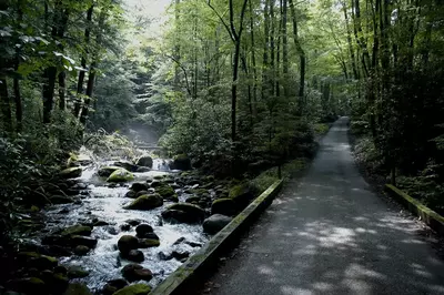 roaring fork motor trail next to a river