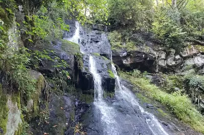 hen wallow falls in the smoky mountains