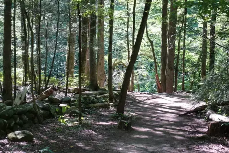 Gatlinburg trail in the great smoky mountains