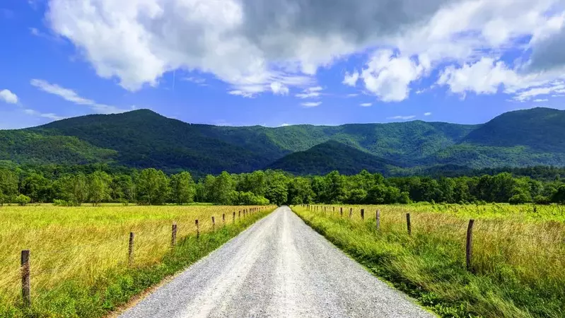 Road in Cades Cove