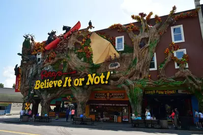 Ripley's Believe It or Not! in downtown Gatlinburg