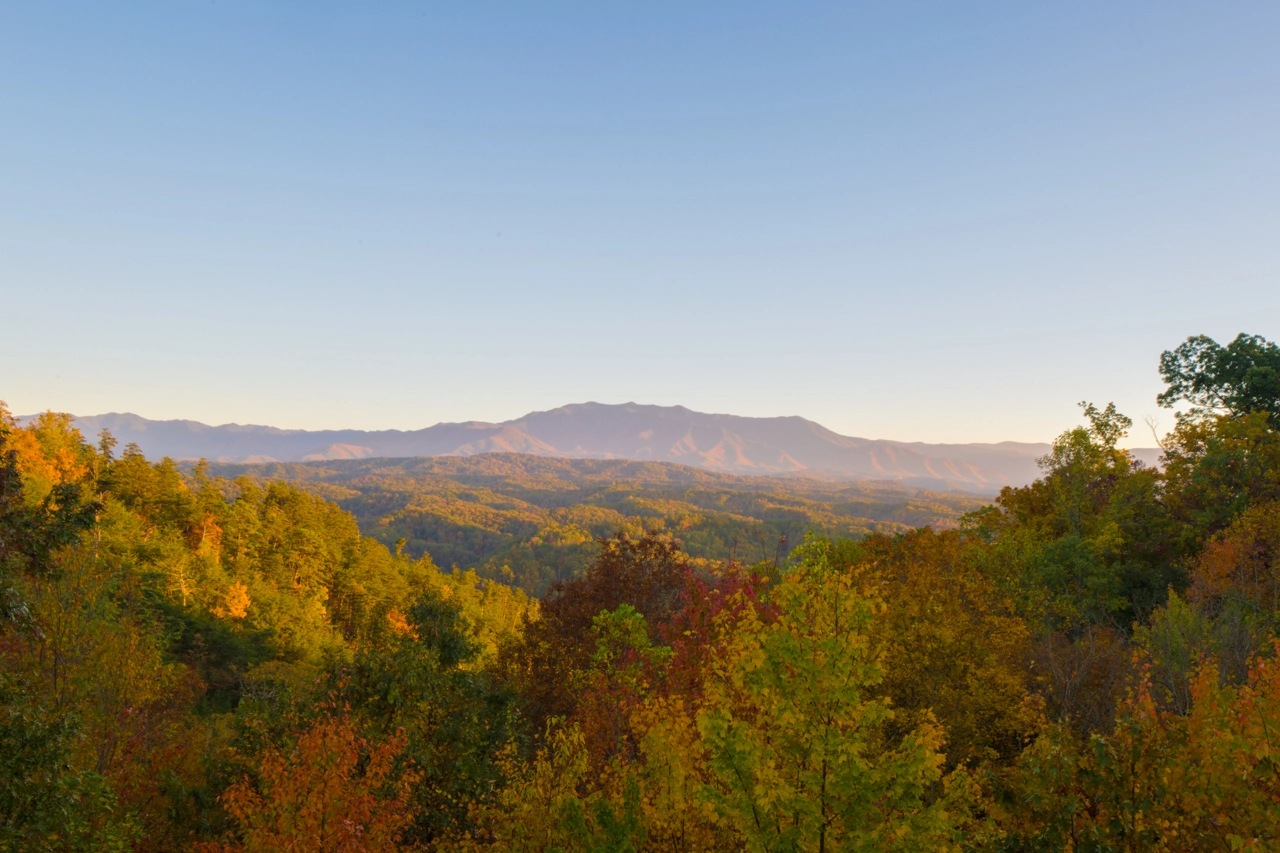 Autumn Views