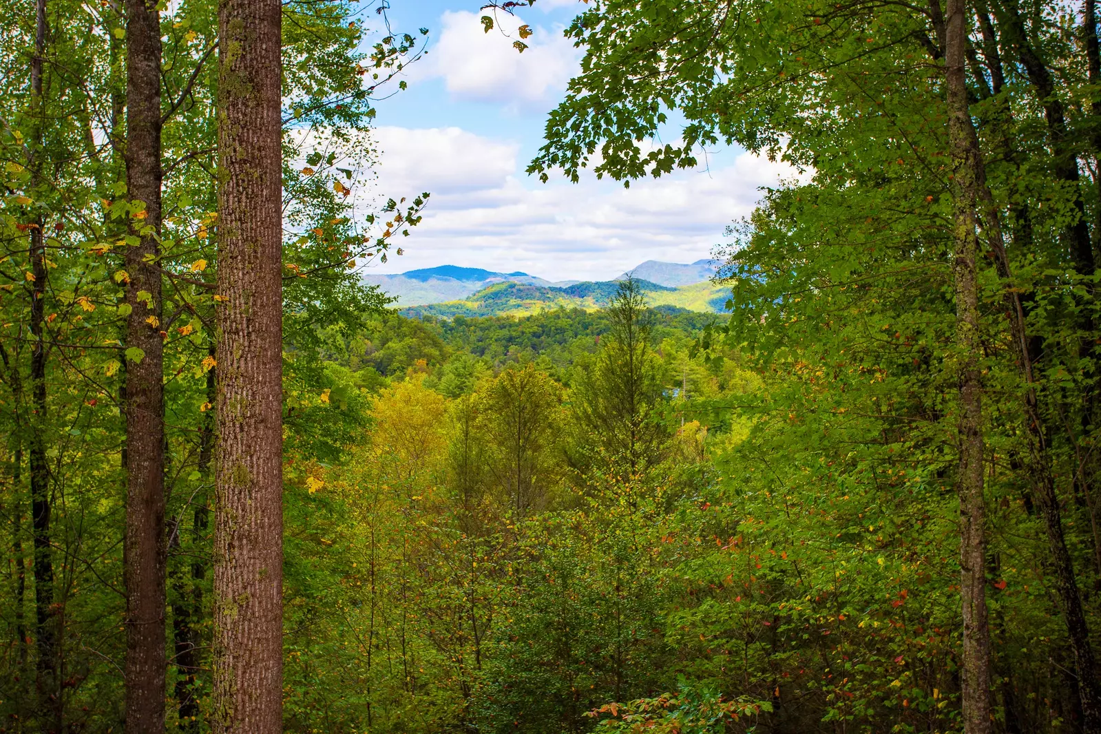 Mountain Top Dream