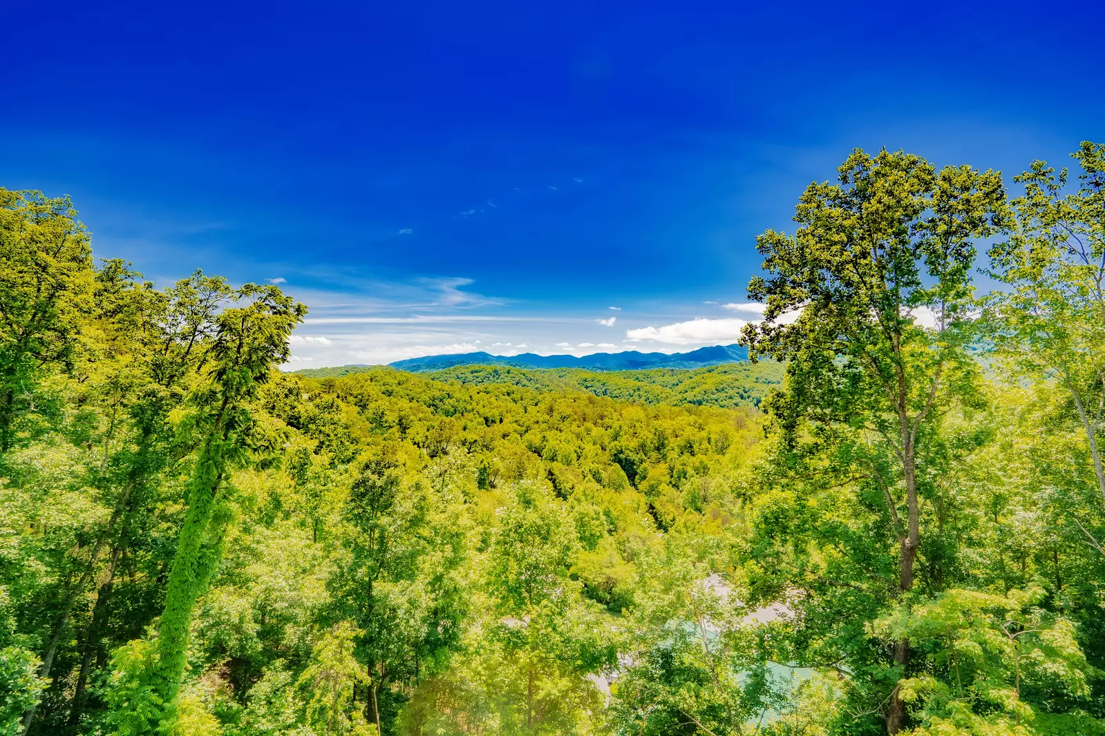 Friendship Mountain Retreat