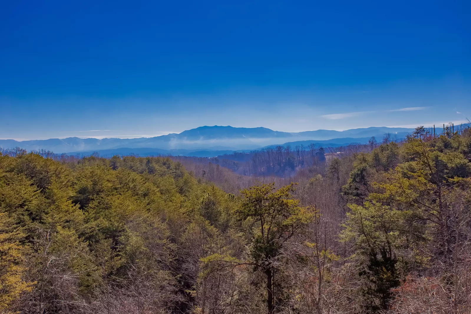 Rocky Top View