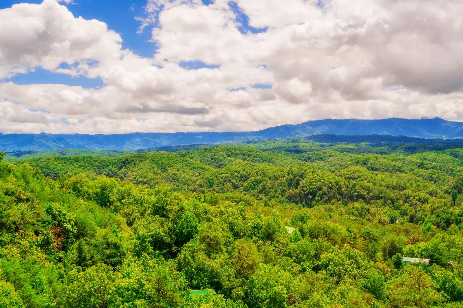 A Smoky Mountain Dream