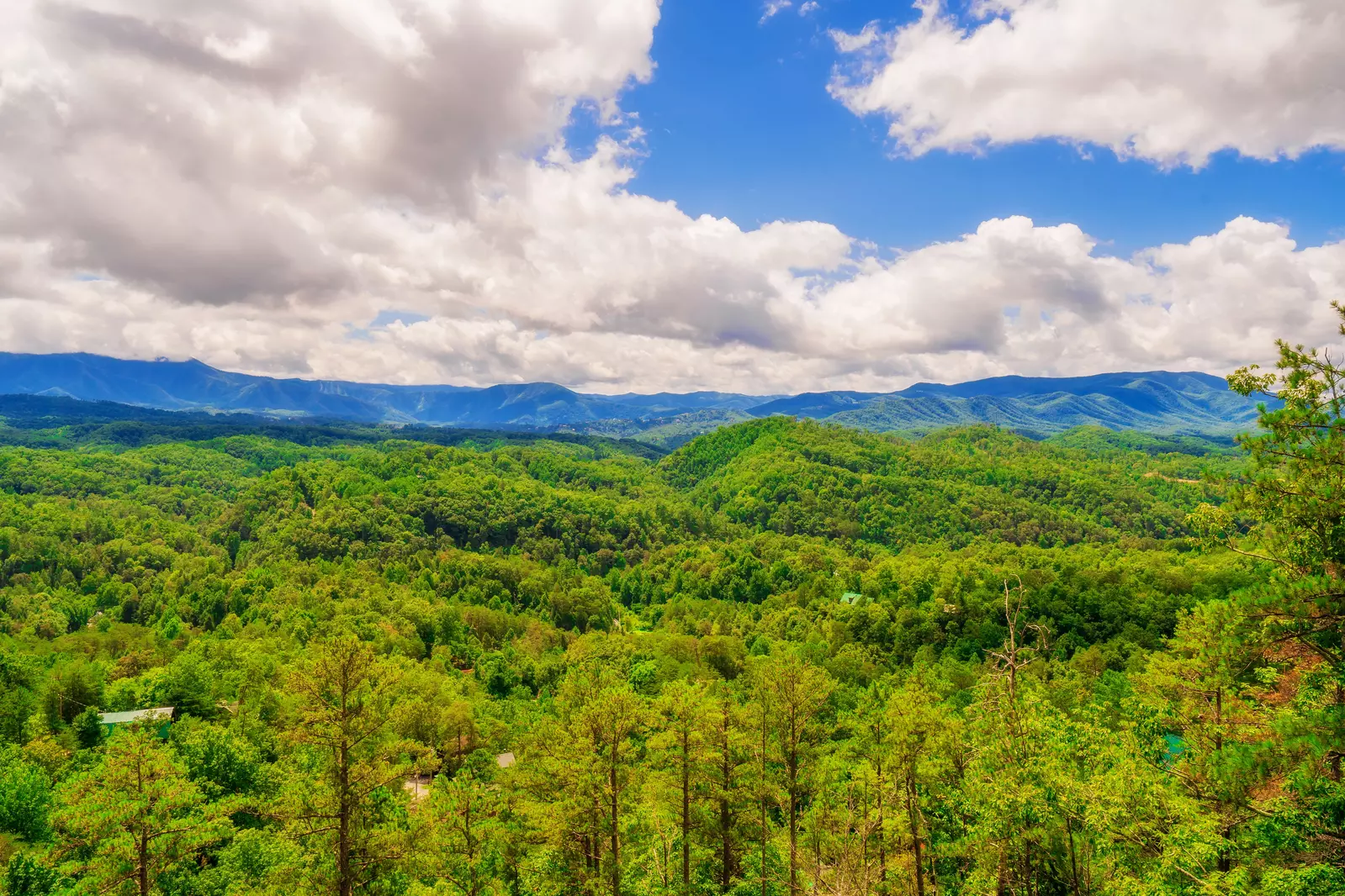 A Smoky Mountain Dream