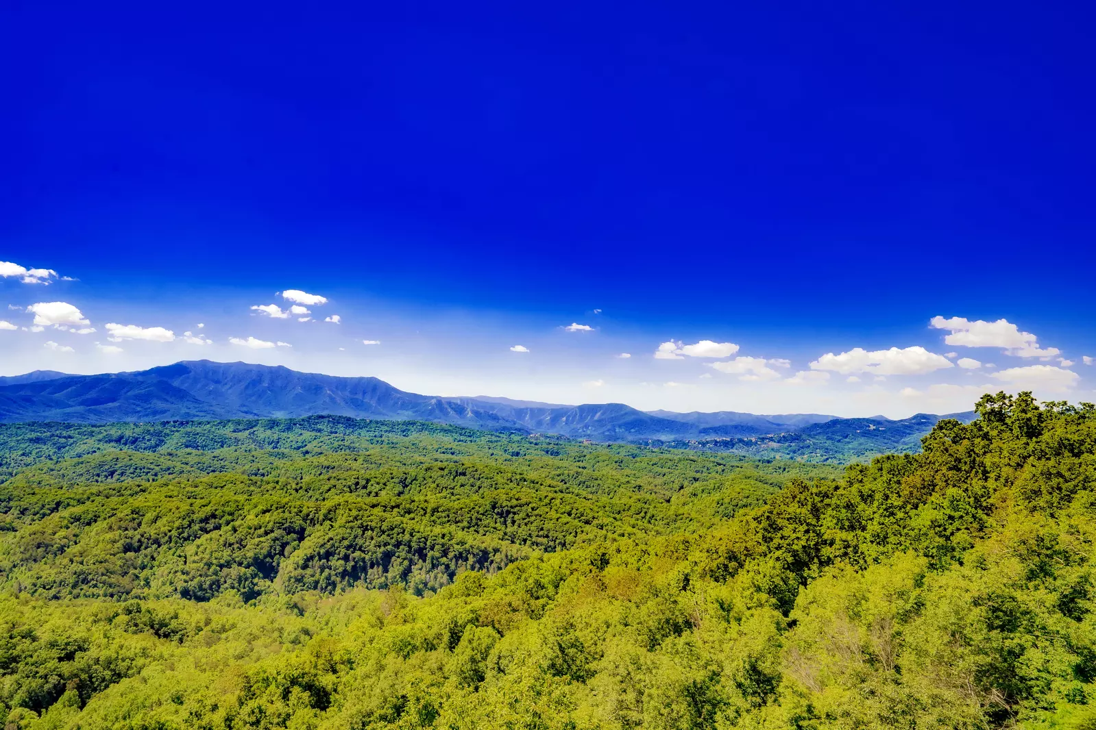 LeConte Overlook