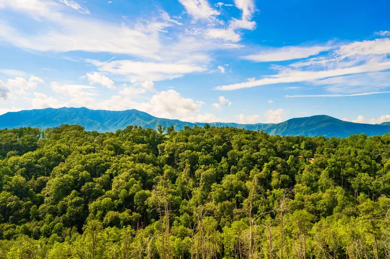 A Gatlinburg Heavenly View