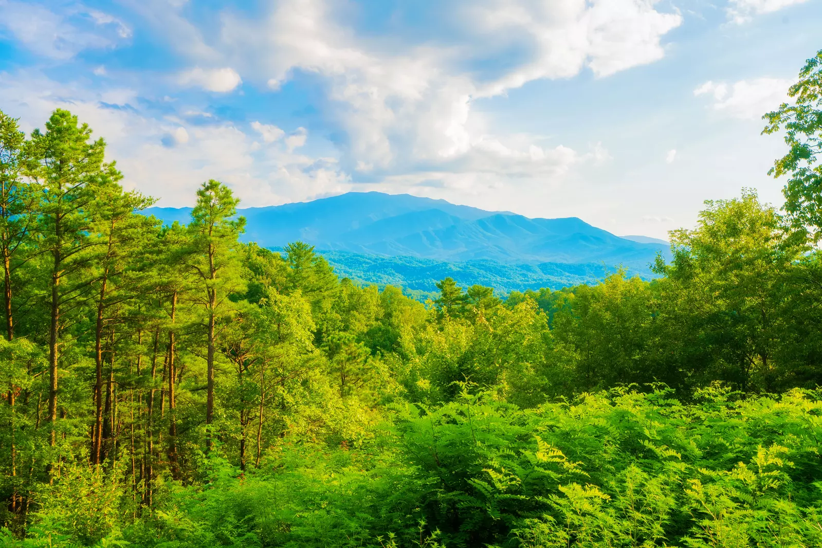 Gatlinburg Mountain Romance