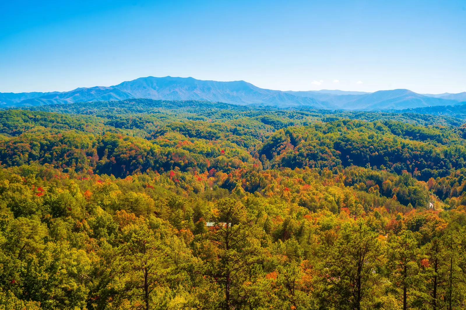 A Smoky Mountain Dream