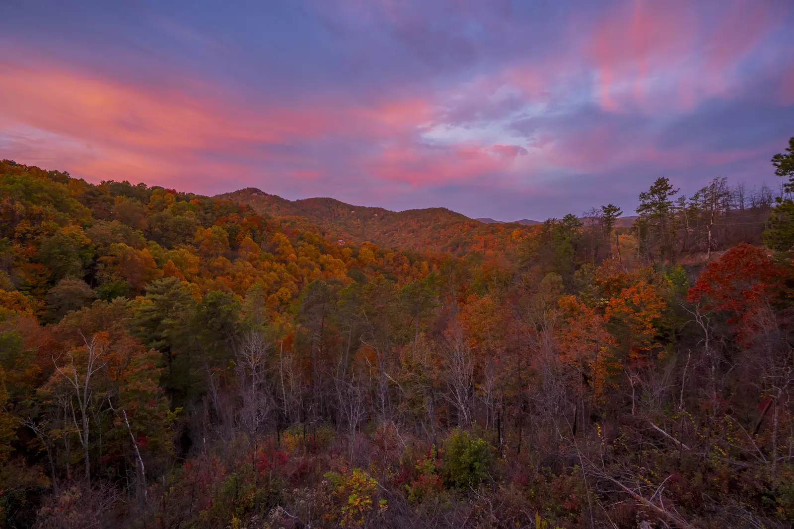 Paradise View In The Smokies