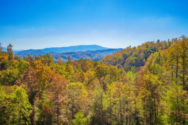 Smokies Overlook