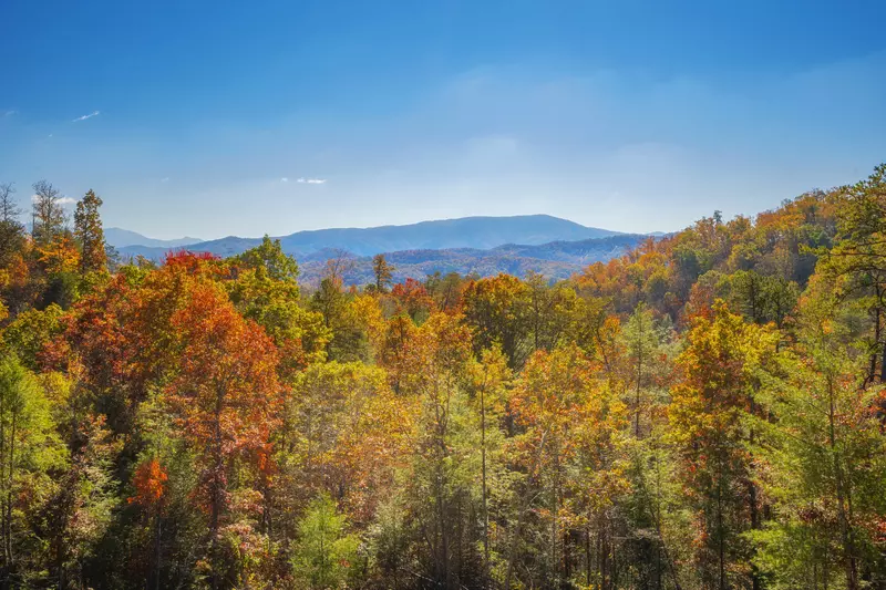 Smokies Overlook