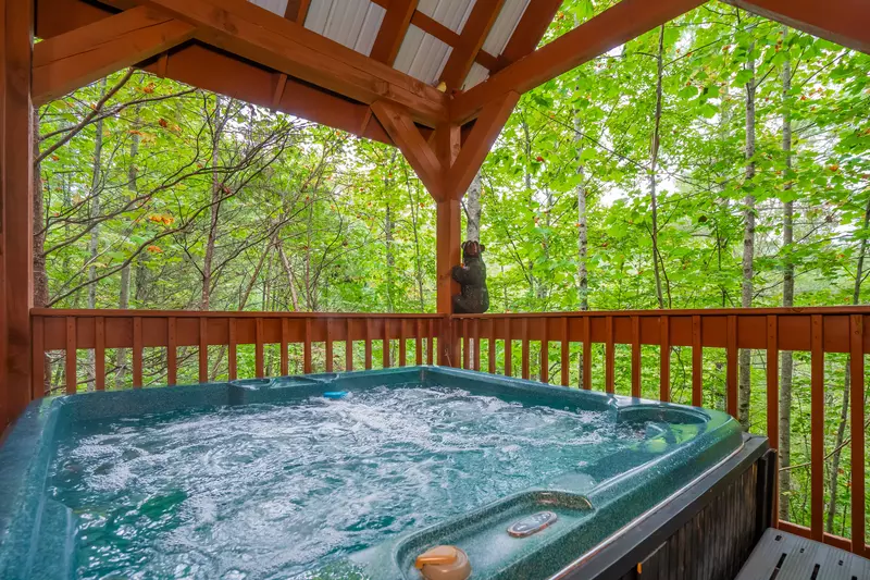 Forest View Hideaway