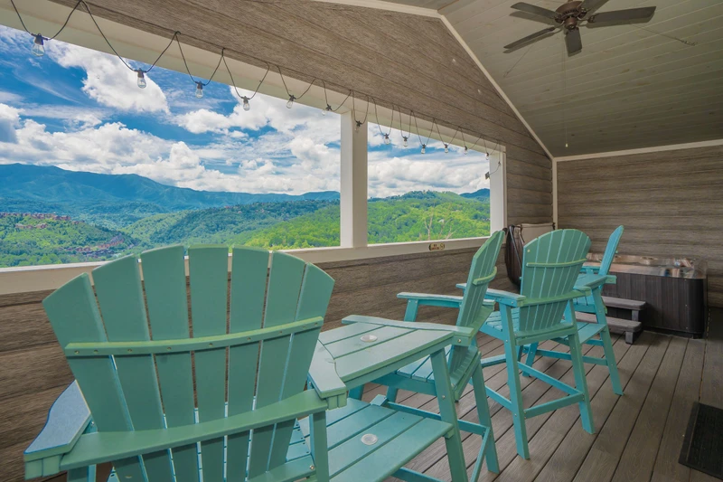 Mountain Top LeConte