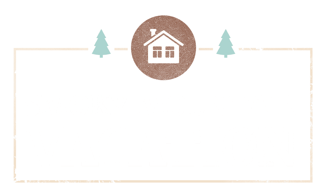 Smoky Mountain Vacation